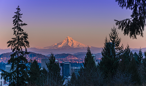Snow-capped mountain at sunrise with tall trees and city buildings in foreground.
